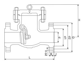 din-swing-check-valve-01