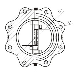integrated-lug-type-double-disc-swing-check-valve-2
