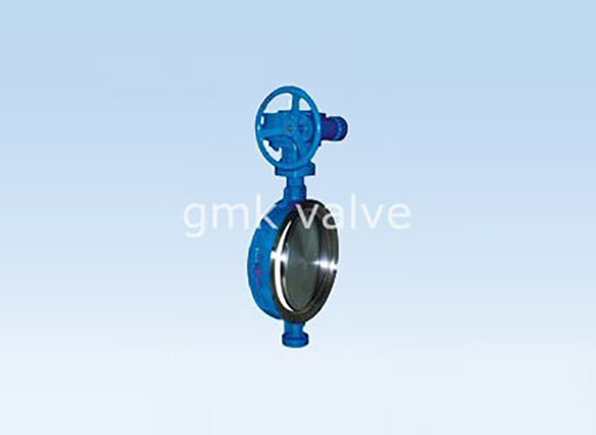 Butterfly Valve