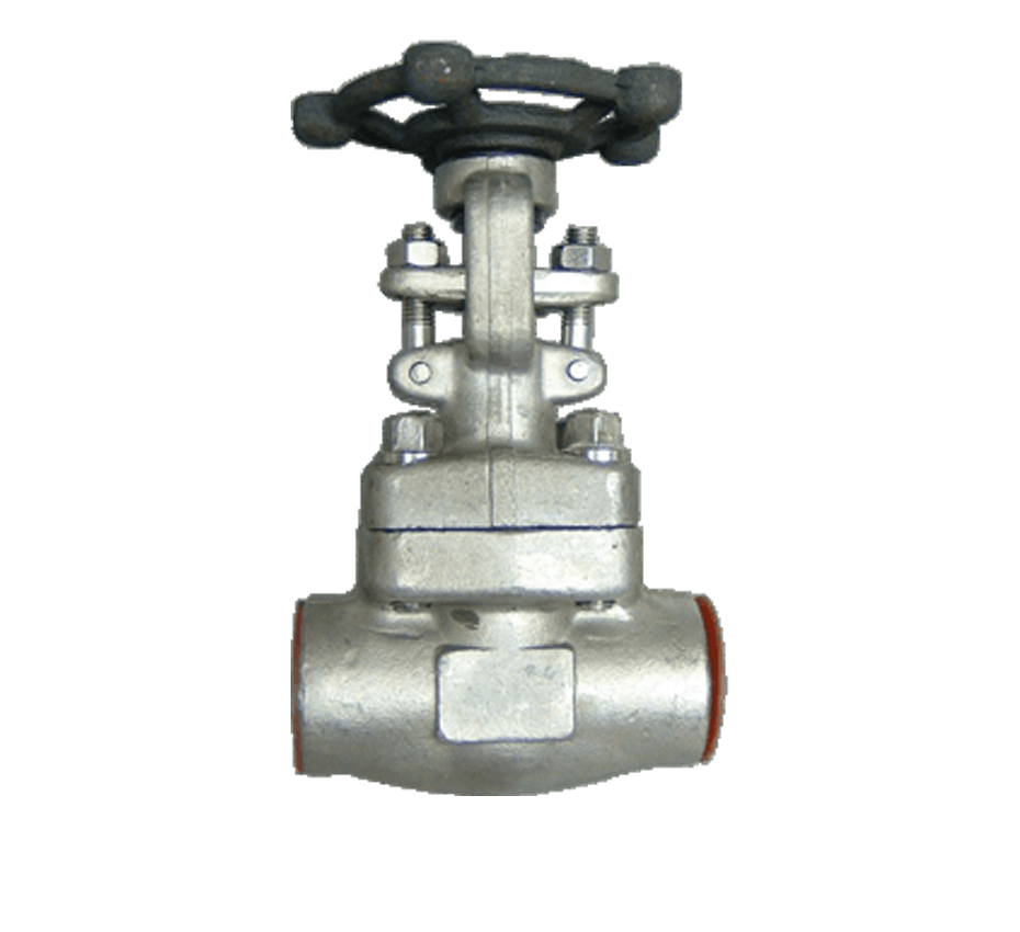 Compact Forged Steel Valve