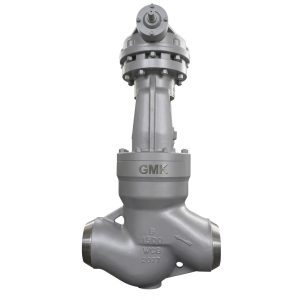 GMK Pressure Seal Globe Valve