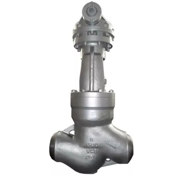 pressure seal globe valve