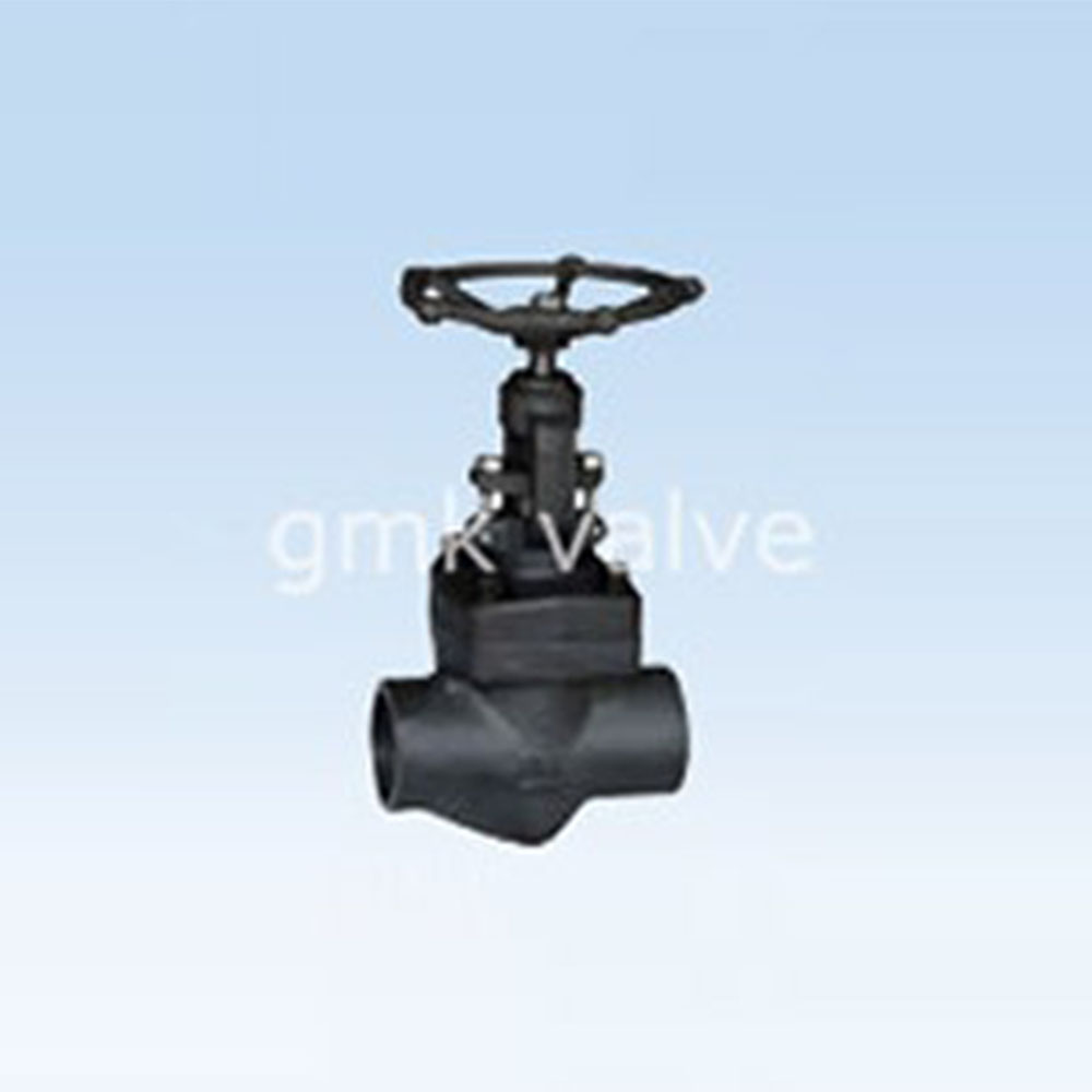 forged-female-threaded-socket-welded-globe-valve