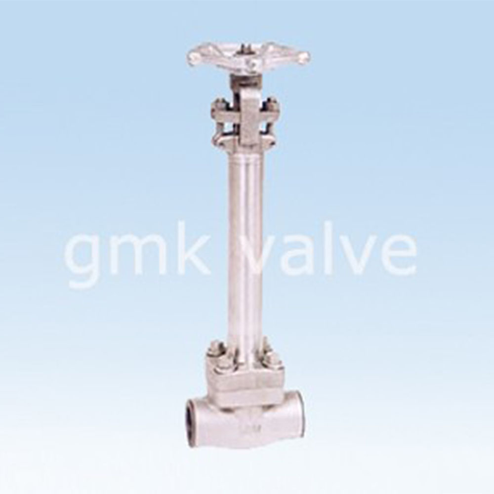 forged-steel-cryogenic-gate-valve