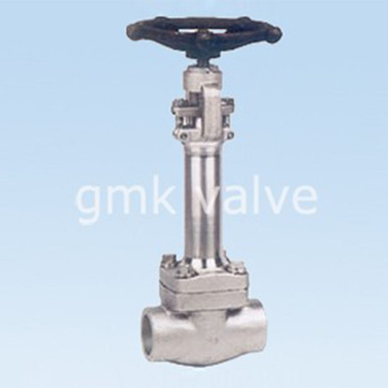 How Does a Steel Cryogenic Globe Valve Work? GMK