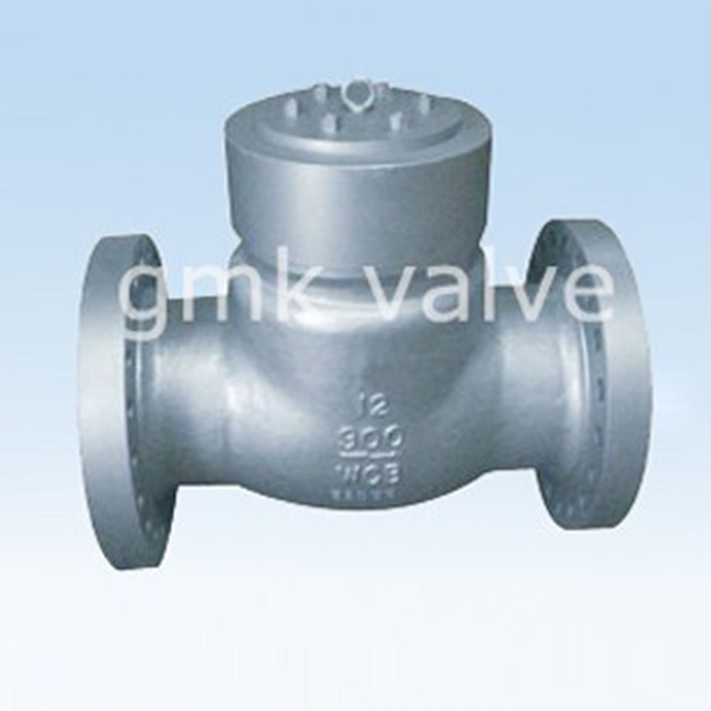 pressure-seal-check-valve