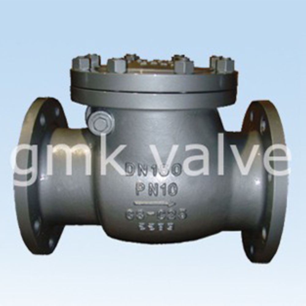 din-swing-check-valve