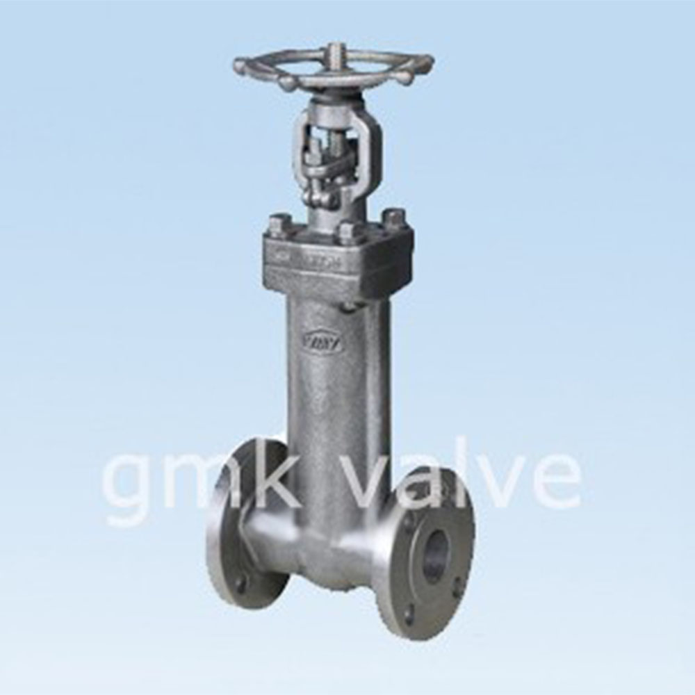 forged-steel-bellows-seal-gate-valve