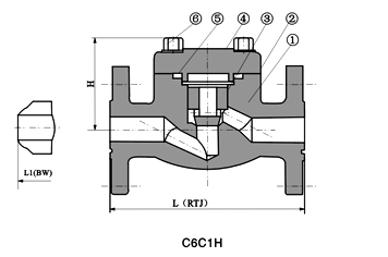 forged-steel-flange-check-valve