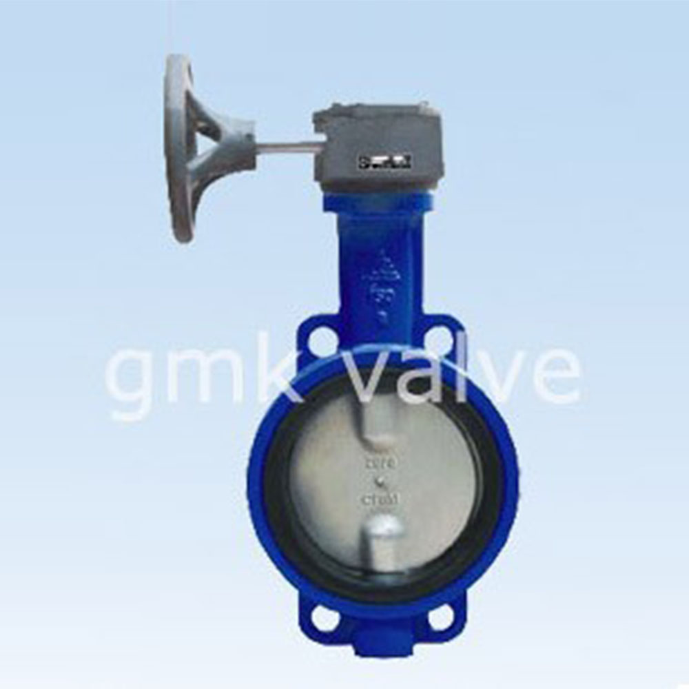 concentric-resilient-seated-butterfly-valve