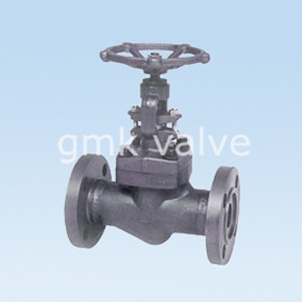 forged-steel-flange-globe-valve