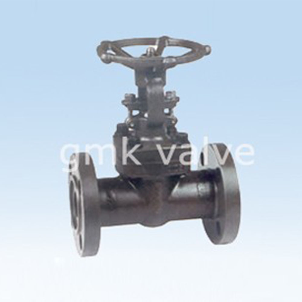 forged-steel-flange-gate-valve