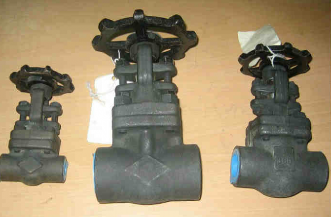forged steel cryogenic gate valve