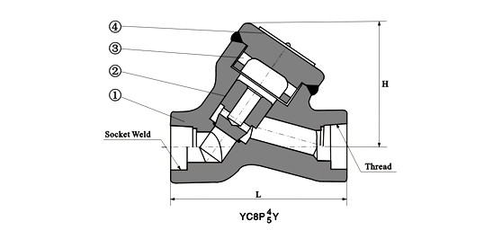 forged y pattern piston check valve