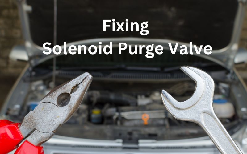 Cleaning a purgesolenoid valve